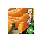 ふるさと納税 メロン メロン赤肉 山形県 遊佐町 1224 遊佐町産赤肉メロン5kg