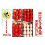 ふるさと納税 いちご 栃木県 矢板市 訳あり 栃木のいちご4品種食べ比べセット 小玉ですが大容量1120g |とちあいか とちおとめ ミルキーベリー スカイベリー …