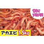 エビ アカエビ1.5kg N014-YZA583