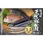 旬の鮮魚等 AS-537 配送指定日必須