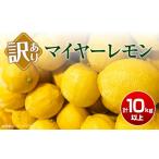みかん 柑橘類 レモン 訳あり マイヤーレモン 計10kg以上