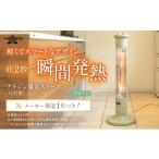 ふるさと納税 空調・季節家電 兵庫県 加西市 アラジン 遠赤 グラファイトヒーター 1灯 グリーン 緑 CAH-1G9E Aladdin 電気ストーブ 遠赤グラファイト ストーブ…