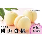 ふるさと納税 もも 岡山県 瀬戸内市 桃 2025 年先行予約 岡山 白桃 エース 4〜6玉 1kg 岡山県産 JAおかやまのもも モモ 岡山県産 国産 フルーツ 果物 ギフト …