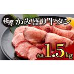 ショッピング牛タン ふるさと納税 佐賀県 上峰町 《極厚》かみ 牛タン 700g