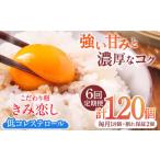 きみ恋し 箱入り 20個