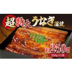 うなぎ 蒲焼き 特大 250g×1尾