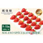 ふるさと納税 いちご 新潟県 新潟市 SOLANO SPECIALITE『越後姫』9〜15粒