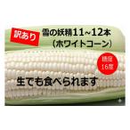 fu.... налог кукуруза Hokkaido Ikeda блок есть перевод Hokkaido снег. ..( белый кукуруза )11~12 шт. входит . примерно 5 kilo кукуруза кукуруза ограниченное количество время ограничено ....