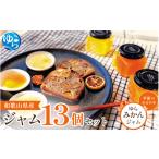 ジャム 和歌山産ジャム 13個