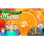 果物類 みかん 詰め合わせ 2回定期便 約3kg
