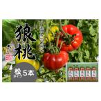 野菜類 ジュース 無塩 無添加 最高級トマトジュース