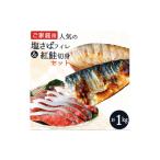 ふるさと納税 干物 サバ 和歌山県 串本町 ご家庭用訳あり 人気の塩さばフィレ&紅鮭切身セット計1kg/ 和歌山 魚 さば 鮭 uot796A