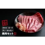 牛肉 焼肉 バーベキュー 牛 セット 大 カルビ 1kg