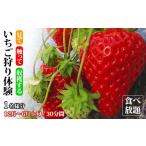 体験チケット いちご狩り体験 食べ放題 1名様分