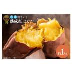 野菜類 サツマイモ 日本さつまいもサミット2024
