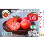 野菜類 トマト 2027年1月~ 定期便5回