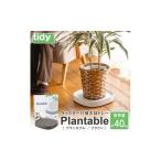 tidy ティディ Plantable キャスター付植木鉢トレイ