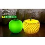 インテリア アップルライト 黄 緑 2個セット