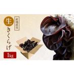 野菜類 きのこ 有機JAS 生きくらげ 1kg