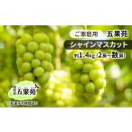 ふるさと納税 岡山県 玉野市 ご家庭用 シャインマスカット 約1.4kg（2房〜数房） ぶどう フルーツ 果物 岡山 五果苑