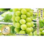 ふるさと納税 ぶどう マスカット 岡山県 玉野市 ぶどう 2026年 先行予約 シャイン マスカット 晴王 2房入り(1房 480g以上 ハウス栽培) ブドウ 葡萄 岡山県産…