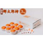 果物類 柿 輝太郎柿 3kg