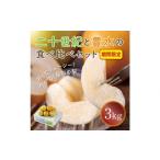 ふるさと納税 鳥取県 鳥取市 1570 二十世紀と豊水の食べ比べセット 2.5キロ(まえた農園）　