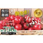 fu.... налог помидор мини помидоры префектура Аичи . юг город 2026 год отправка удар. один шарик чудесный вишня мини помидоры ( маленький ..) примерно 750g(250g×3 упаковка ) сомелье summit золотой...