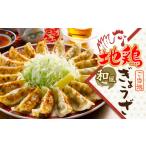 ふるさと納税 餃子 愛知県 碧南市 白だしを使った和風ご当地餃子 白だしの元祖 七福醸造の白だし使用 名古屋コーチン鶏餃子 36個入り 日時指定可 肉汁たっぷ…