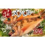 旬の鮮魚等 小泊港水揚げ 津軽海峡メバル