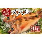 旬の鮮魚等 小泊港水揚げ 津軽海峡メバル