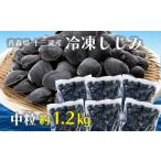 魚貝類 しじみ 十三湖産 冷凍しじみ 中粒 約1.2kg