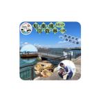 イベントやチケット等 新居弁天海釣公園