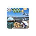 イベントやチケット等 新居弁天海釣公園
