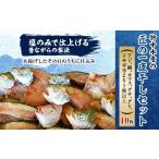 ふるさと納税 干物 愛媛県 八幡浜市 竹中水産の匠の一夜干し10枚セット D22-226 _ 一夜干し 天日干し 干物 ひもの 天然 食べ比べ 詰合せ セット 魚介 魚介類 …