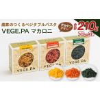 パスタ 生 半生めん 農家のつくるベジタブルパスタ