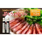 ふるさと納税 広島県 北広島町 高校生フードデザイナー共同開発！「ぶちうまドレドレ」（300ml×2本セット）