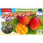 ふるさと納税 マンゴー 沖縄県 名護市 2026年発送　道の駅許田の秀品アップルマンゴー　約1kg 完熟 マンゴー アップル 南国 沖縄 フルーツ くだもの 果物 果実…
