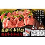 牛肉 セット 厳選希少部位 牛赤身焼肉6種セット 約810g