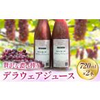 果汁飲料 ぶどう 贅沢な濃い搾り デラウェアジュース 720ml