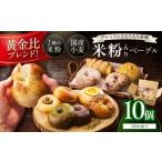 パン ベーグル定期便 3回 毎月 丹後もちもち米粉入りベーグ…