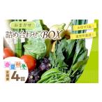 直売所直送 京丹後産 季節の野菜 お任せ詰め合わせBOX 5品
