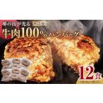ふるさと納税 肉 ハンバーグ 大阪府 堺市 堺の技が光る無添加の牛肉100％ハンバーグ　12食セット 無添加 牛肉 ハンバーグ セット 12食 グルメ 温めるだけ 冷凍…