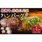 佐賀牛と若楠三元豚のハンバーグ 食べ比べセット 計4個