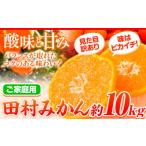 ふるさと納税 果物類 みかん 和歌山県 日高町 先行予約 ご家庭用 訳あり 田村みかん 10kg 株式会社魚鶴商店《2025年11月下旬-2026年2月上旬頃出荷》 和歌山県…