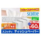 ショッピングティッシュペーパー ふるさと納税 秋田県 秋田市 ティッシュペーパー スコッティ 200組 60箱(5箱×12パック) ティッシュ レビューキャンペーン中 日用品 7日以内発送