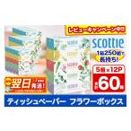 ショッピングティッシュペーパー ふるさと納税 秋田県 秋田市 ティッシュペーパー スコッティ フラワーボックス250組 60箱(5箱×12パック) ティッシュ レビューキャンペーン中 日用品 7日以内…