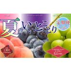 果物の詰合せ 全3回 フルーツ定期便 夏のいいとこどり定期便