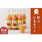 ふるさと納税 果汁飲料 りんご 山形県 大江町 大江の恵 昔なつかしのすっきり紅玉6本ギフト 003-025