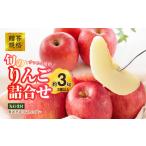 ふるさと納税 りんご 山形県 大江町 《先行受付》贈答規格 旬のりんご詰合せ約3kg(サンふじ確約3種以上)特秀〜秀 大江町産 2025年12月上旬頃〜発送予定 大江…